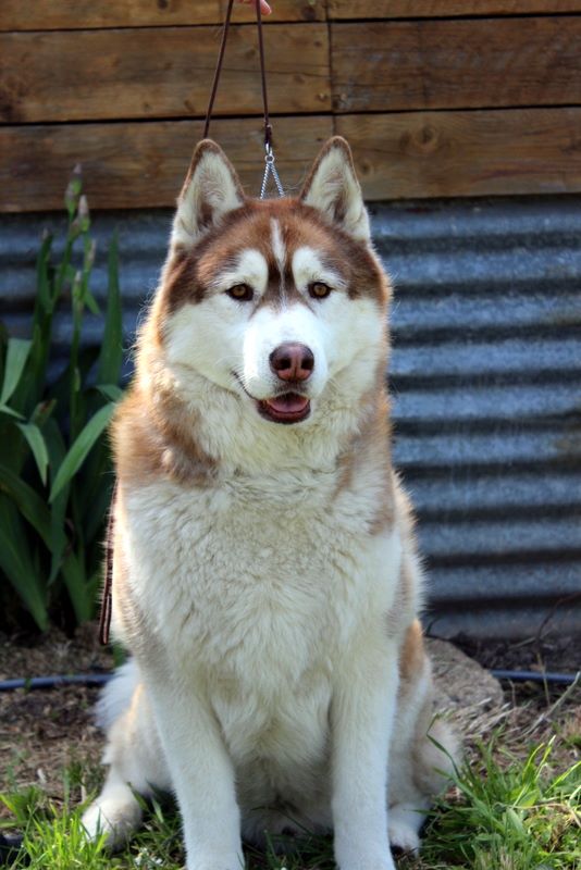 Happy end for haaron Of Artic West Wind