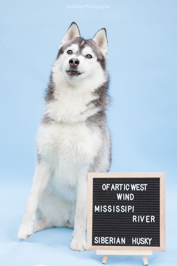 Mississipi river Of Artic West Wind