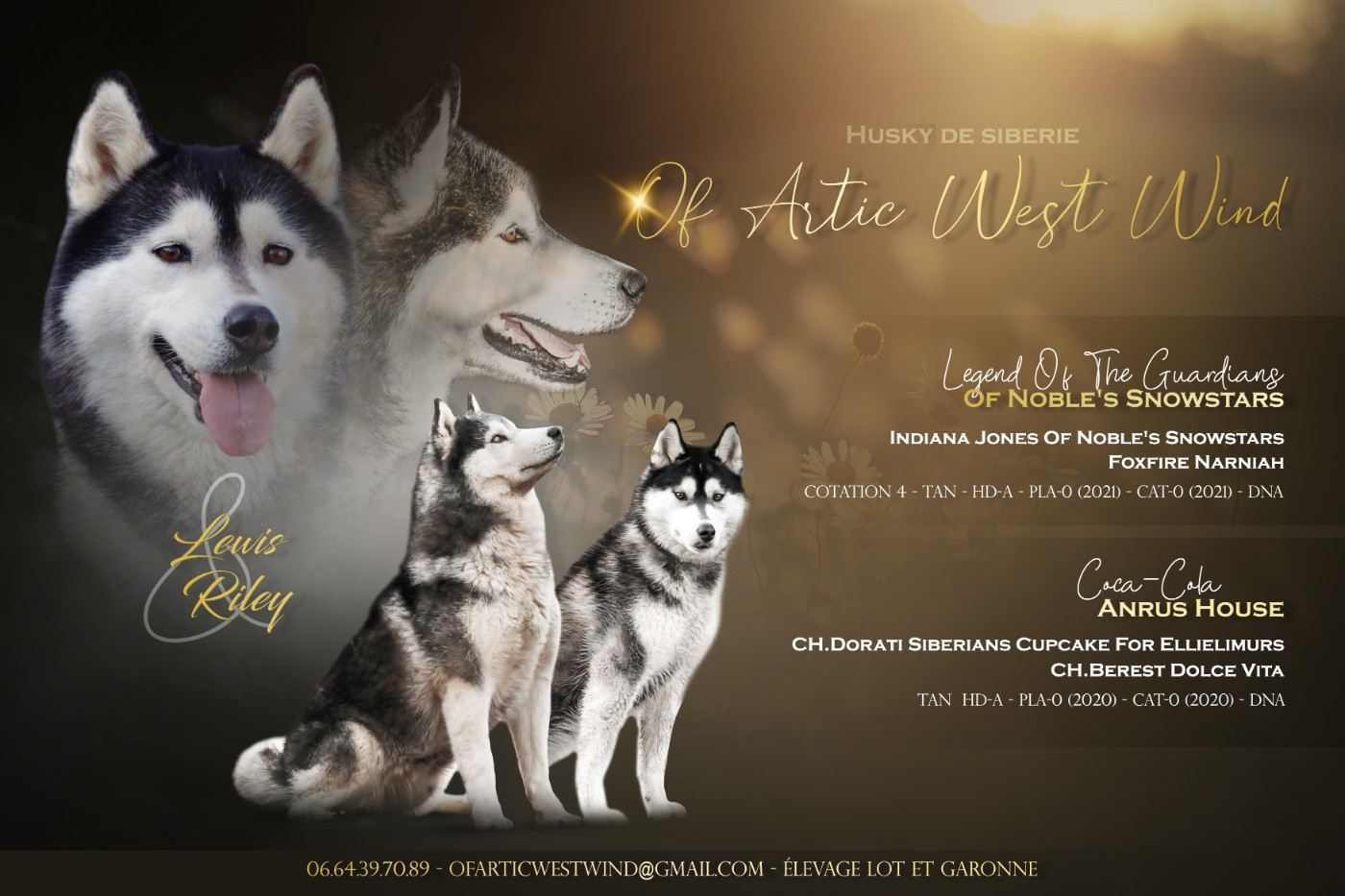 Of Artic West Wind - Bientôt des bébés