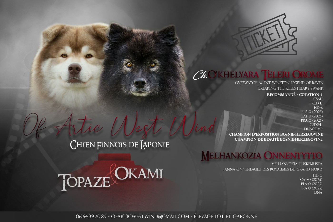 Dernière pour Okami !